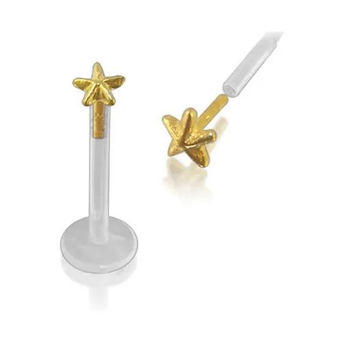 🦚 PMFK Piercing Labret Stecker 14karat Echtgold mit 3.5mm-Seestern